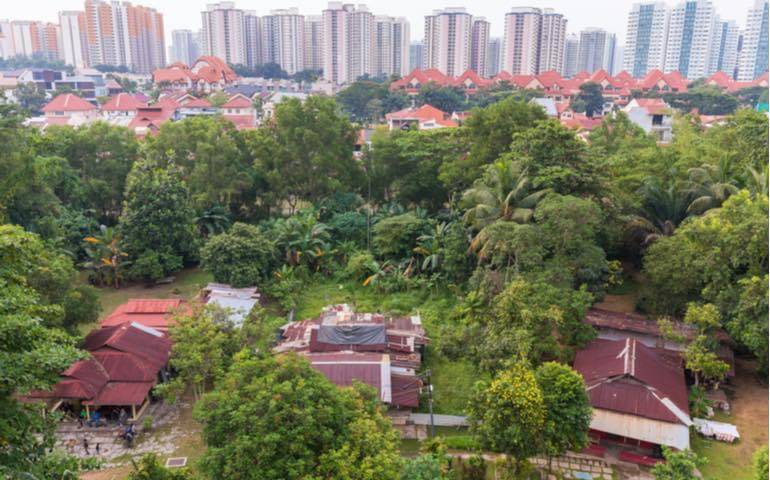 新加坡本岛最后一个Kampung，一个26户村民组成的小村子，就在Buangkok，你知道吗