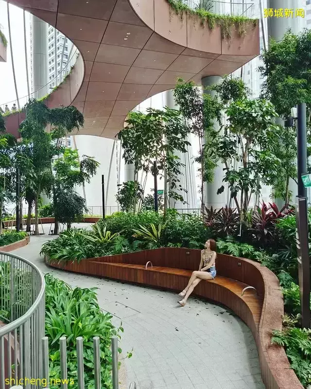 新加坡市中心新地标！盘点CapitaSpring拍照美食攻略🌿一起来探索这栋51层的建筑👀 