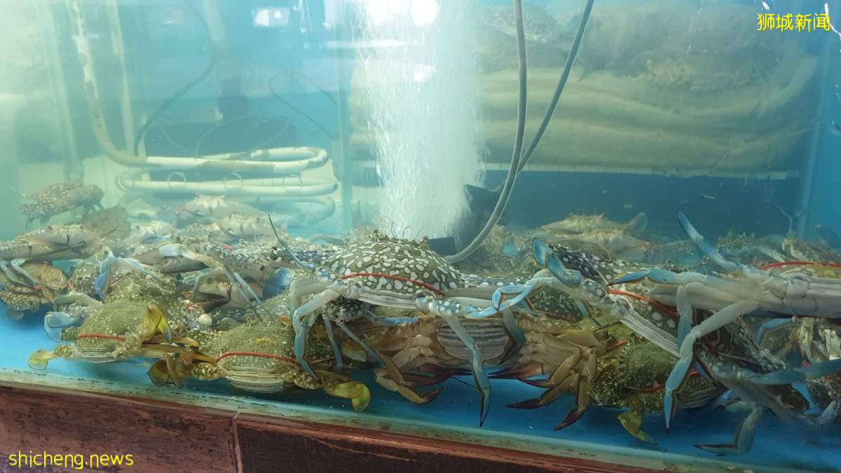 老字号海鲜餐馆🏅️抗疫大放送!螃蟹,小龙虾泡饭粥等特色主食只要S$9🤤螃蟹小龙虾买一送一