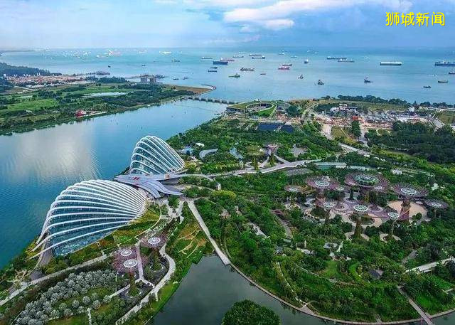 “被迫獨立”的重要港口到“亞洲四小龍”，新加坡走了55年