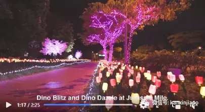 40不惑!疫情下樟宜机场为大家创造快乐,有这么多活动你知道吗