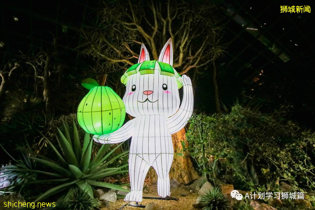 濱海灣花園中秋節燈飾，搶先看