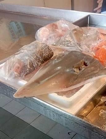 狮城巴刹卖濒危𫚉鱼 一公斤45令吉