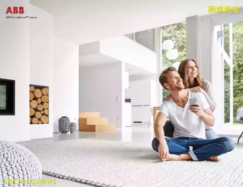 新加坡【D11區】中央核心CBD紐頓永久地契新公寓 10 evelyn【頂級名校學區房】