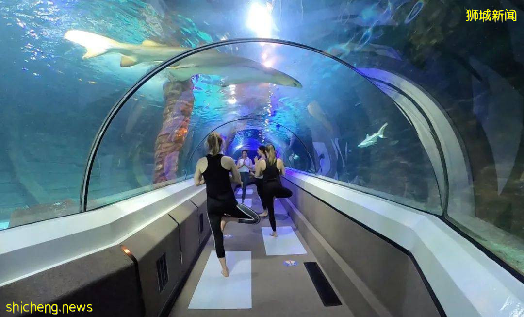 新加坡10個新活動！打卡冰淇淋博物館、總統府、到海底練瑜伽