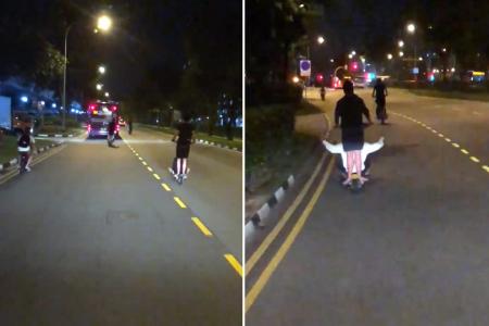 一段在林地里骑电动车的视频被疯传