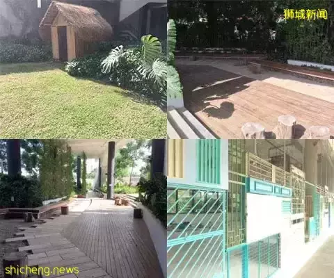 新加坡的幼儿园教育是啥样？外国人收费贵不贵