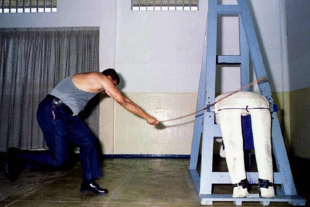 违反规定!新加坡10个老外开游艇派对~ 网友:从哪儿来回哪去吧