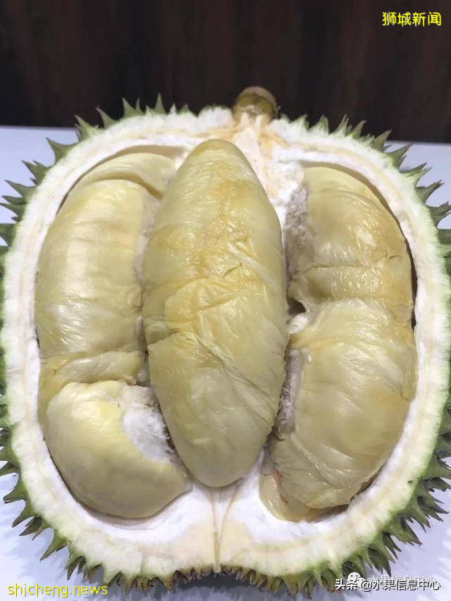 超火爆的榴梿主题餐厅,榴梿控挚爱的party怎能错过