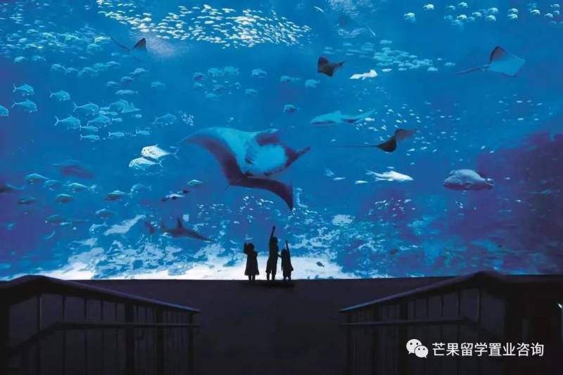 新加坡“親子娛樂”好去處盤點(1)