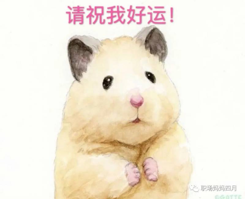 新加坡近視率全球第一！家長如何拯救孩子的眼睛