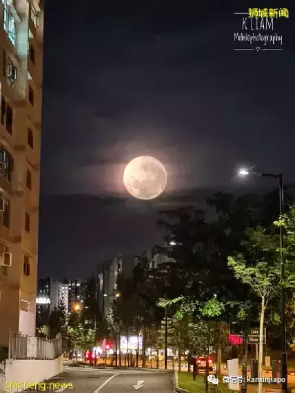 “​草莓月亮”登录新加坡，今晚8点半以前迎来圆满时刻