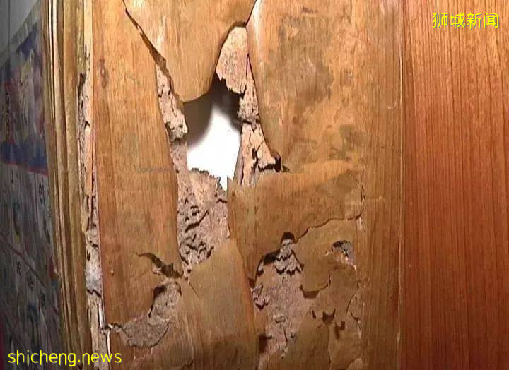 甲醛超標?砸牆重做?我家裝修這事還上了新加坡雜志