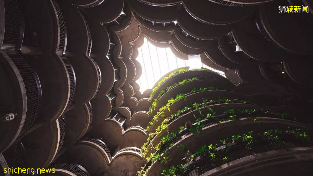 新加坡頂級設計，都在這裏