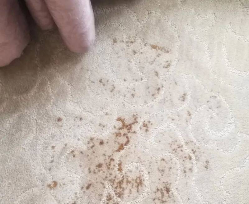 新加坡入境中国,各城市隔离酒店红黑榜!(含实拍图)