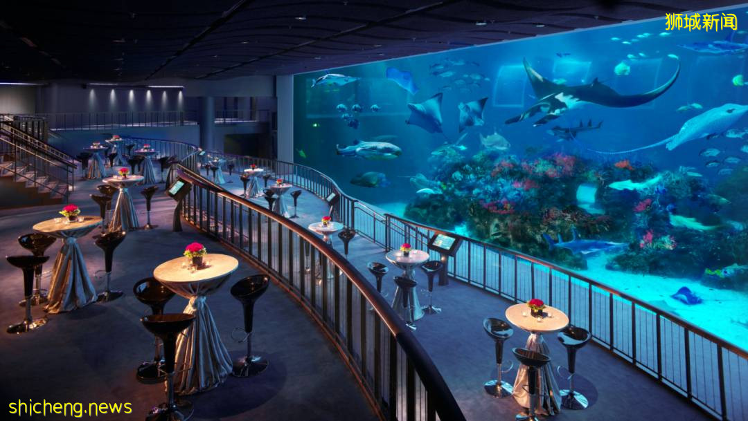 新加坡線上路演展商速遞:一站式度假島新加坡聖淘沙