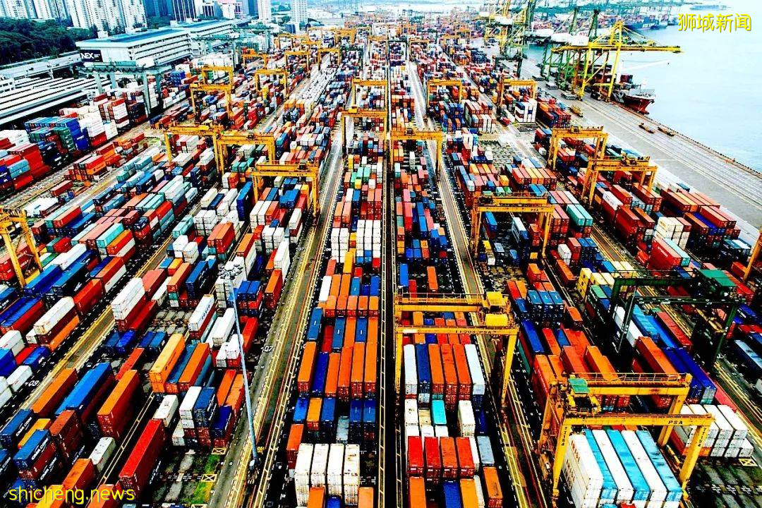 馬國一雞蛋農場暴發疫情,新加坡食品局:對本地影響不顯著 .