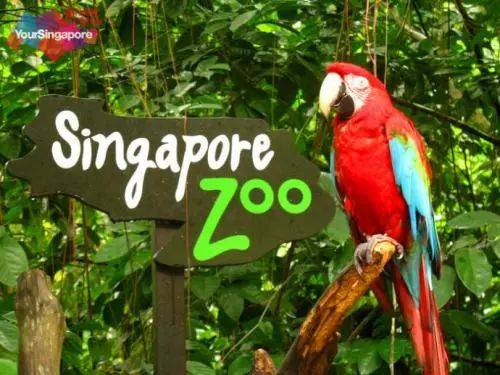 新加坡只是一个岛国，Oh你错了