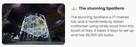 聖誕去哪嗨?從白天到晚上,從線下到線上,濱海灣公園聖誕活動不停歇