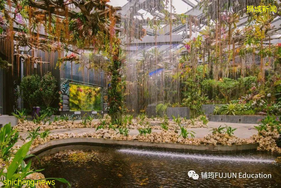 跟着小筠去游玩——新加坡的吃喝玩乐(上篇)