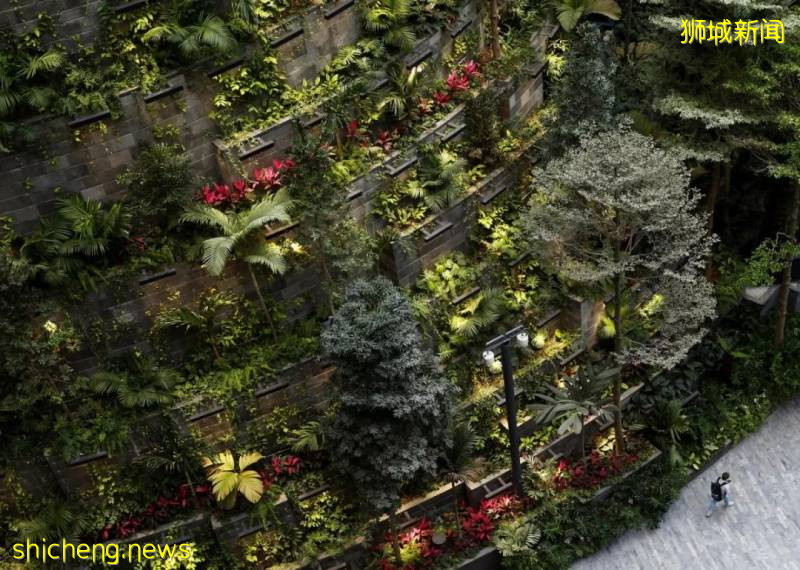 全球最具設計感機場Top 10,新加坡樟宜機場高居第一:休閑指數滿分!