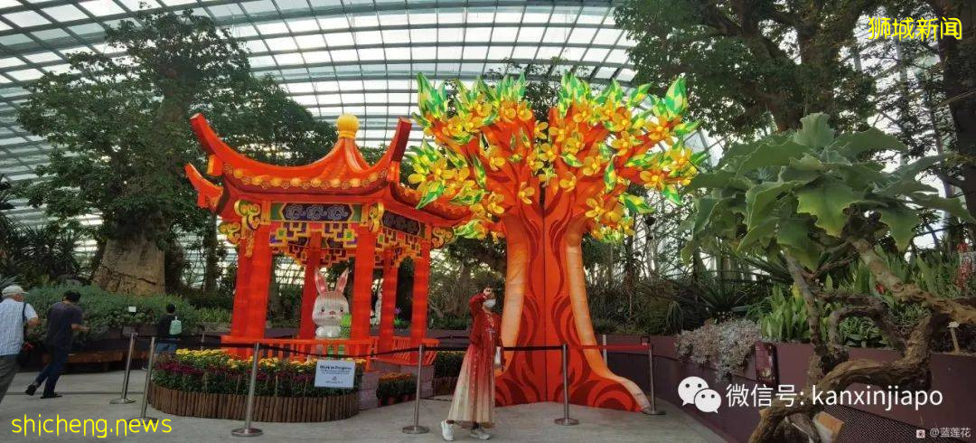 新加坡親子好去處！濱海灣～花穹～雲霧森林～空中步道半日遊