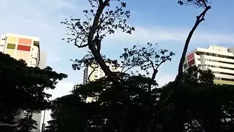 新加坡买房贷款利率或上调,每月还贷可达4千新币