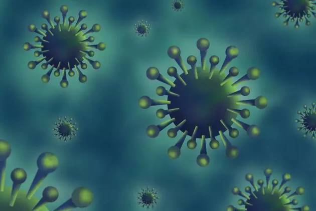 中国湖北“单日”新增新冠肺炎病例近1.5万，这样的爆发会出现在新加坡吗