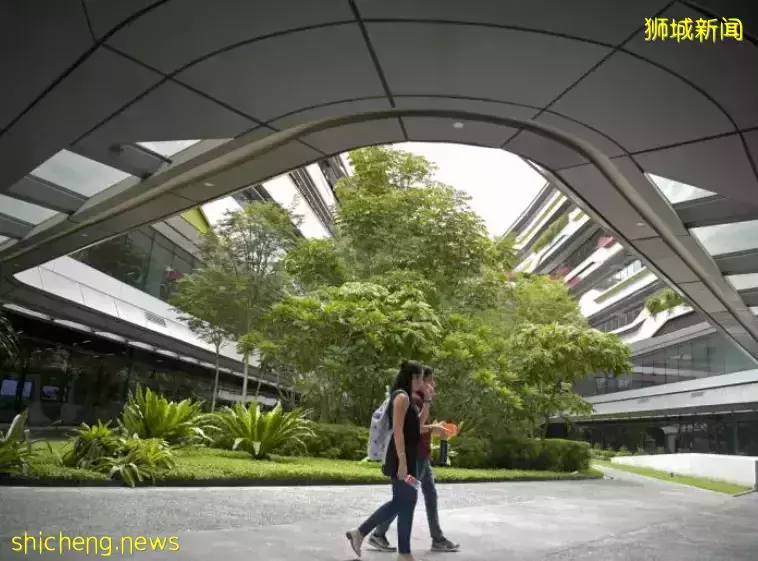 新加坡近期国会内容汇总