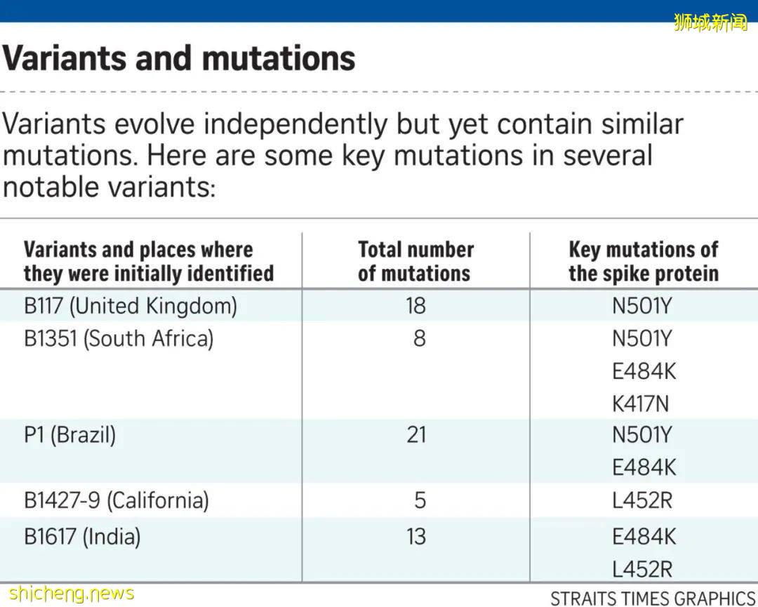 “該死的印度人滾回去！”新加坡街頭有人怒罵！本地上百例印度超級毒株B1617，或讓疫苗無效