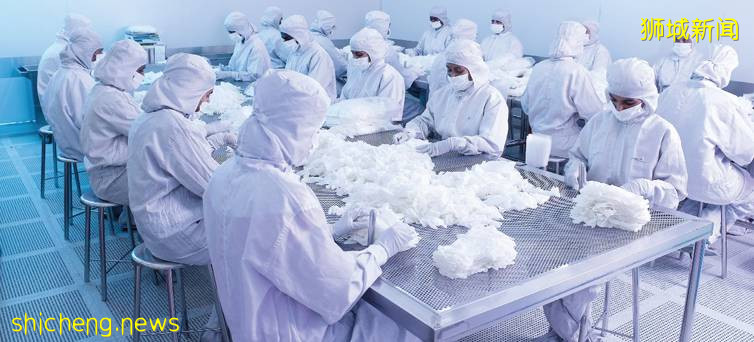 新加坡上市大马手套公司  立合斯顿霹雳厂75员工确诊