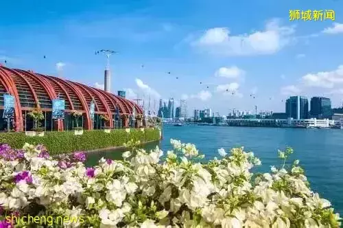 去新加坡旅遊，我保證你連機場都走不出去