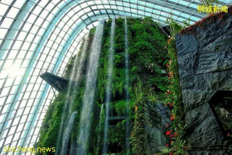 9月1日起中國公民只需居家隔離七天，便可入境新加坡！你想好落地後去哪玩了嗎