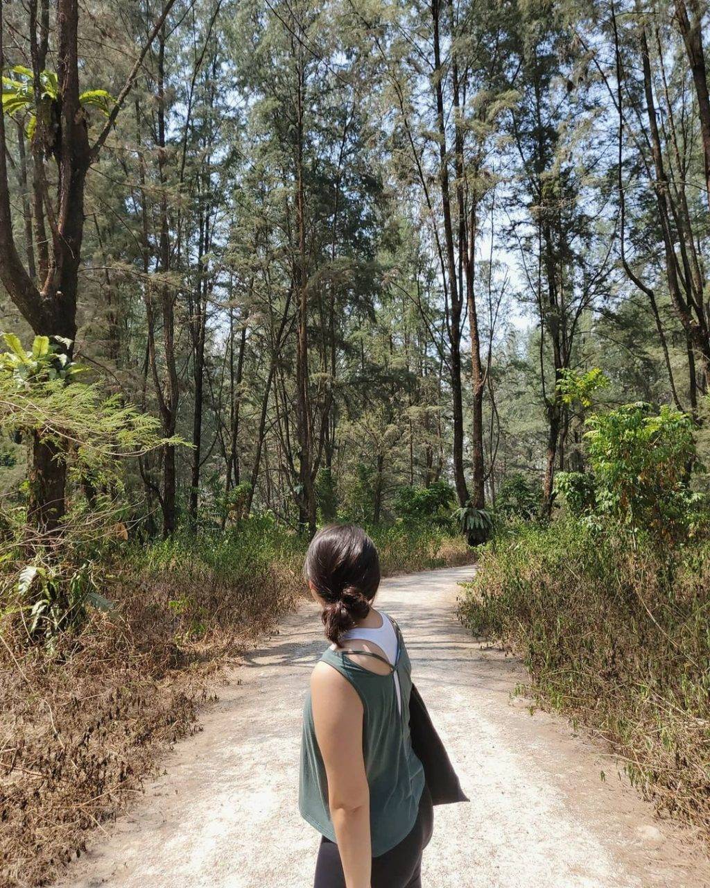發現這一抹綠💚解鎖新加坡森林系打卡點🌳青翠蔥郁、空靈意境，仙氣爆棚一秒出片⚡