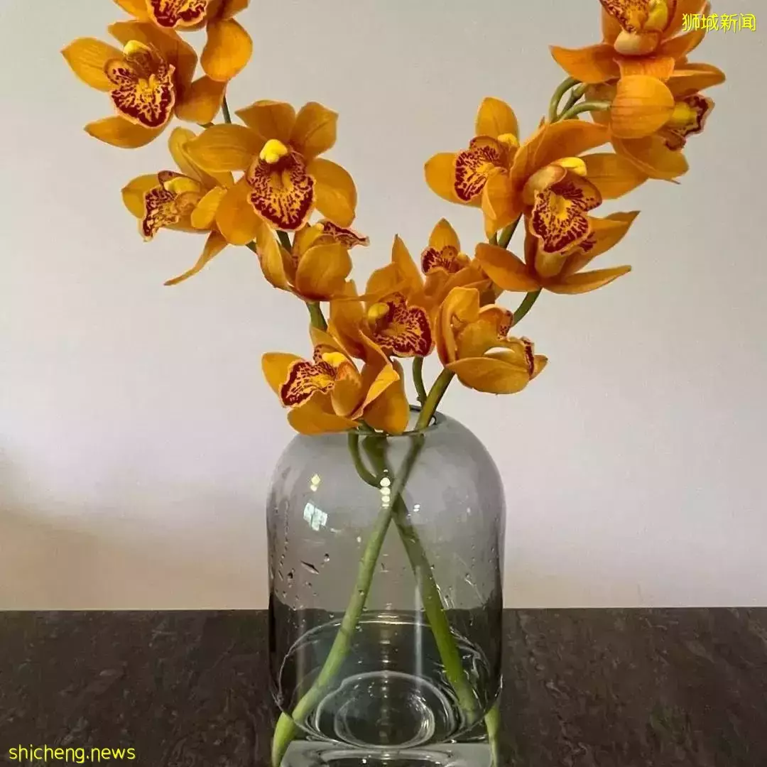 鮮花在熱帶也能養1個月？資深花友新加坡買花、養護大揭秘
