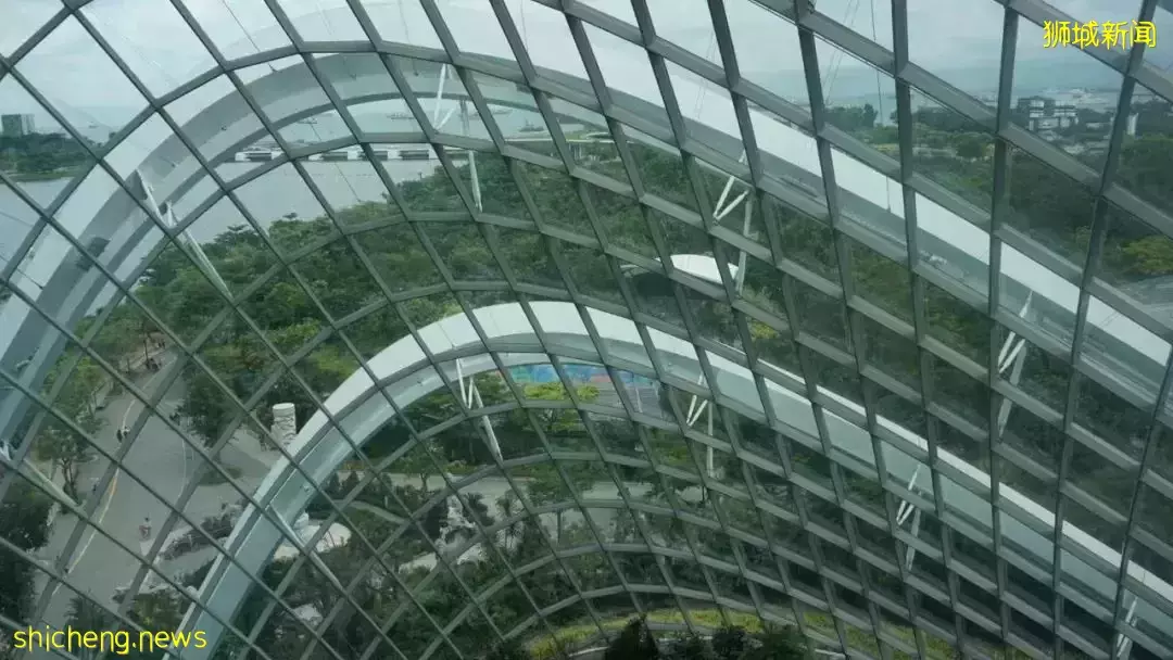 又是想去新加坡旅游的第N+1天！先收藏这份‘新加坡旅行攻略’来解馋吧