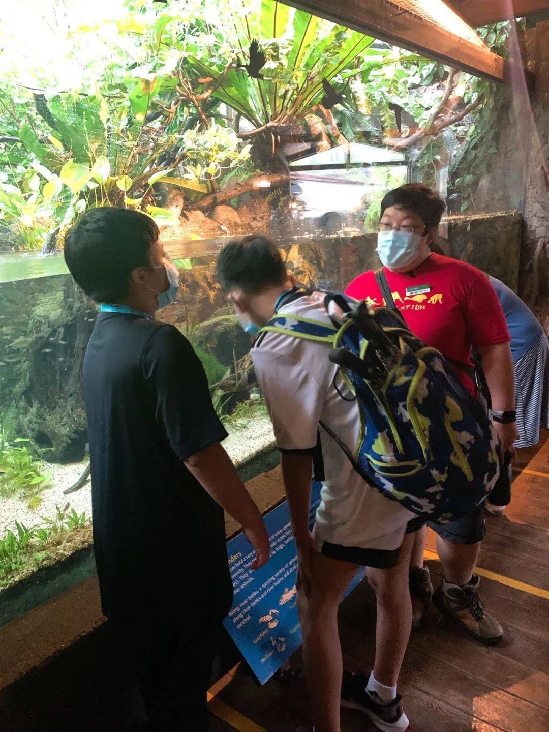 新加坡遛娃新去处!到河川生态园喂海牛,给孩子不一样的staycation