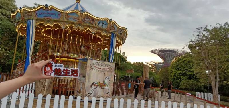 实拍！全世界都羡慕新加坡这个圣诞夜景！8个梦幻夜晚美炸了