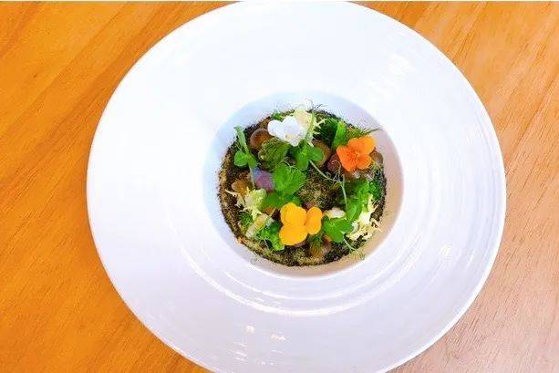 在CBD的绿洲之中吃融合风意大利餐是一种什么体验