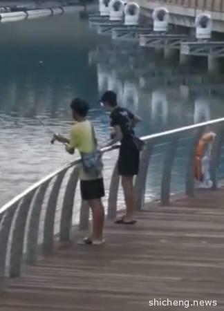 ◤新国启动断路器◢人人待在家 2少年滨海湾享钓鱼乐