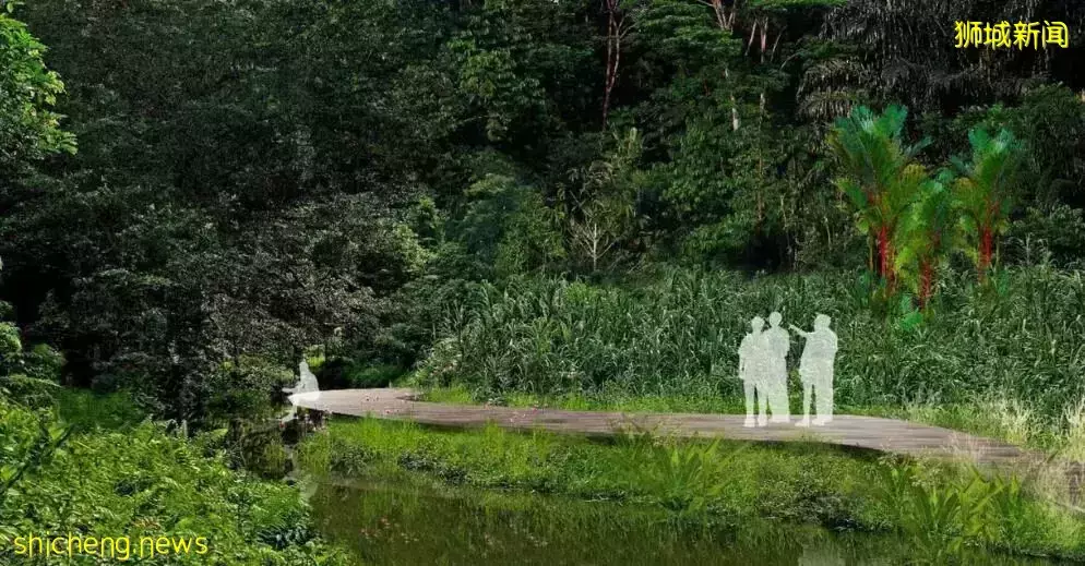 喜大普奔!新加坡北部將增加 3 個公園和 80 公裏的步道