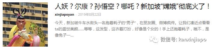 嫦娥请假，吴刚下凡？新加坡一夜整容术了解一下