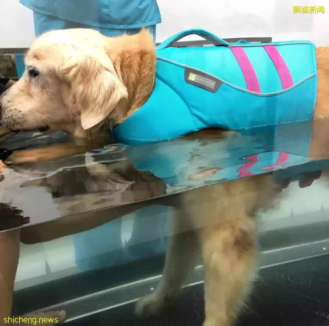 新加坡總理李顯龍: 這是一個重要決定!下一屆總理爲什麽是他