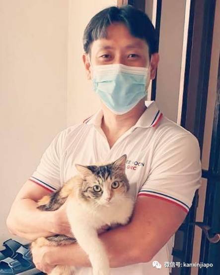 遭HDB人员登门盘查被告知，新加坡组屋不能养猫！这些“毛小孩”也不能出现