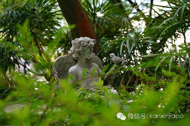 新加坡留学生寄宿公寓