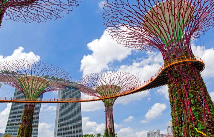 花旗银行将于12月在新加坡开设全球最大财富中心，最新开户全攻略双手奉上