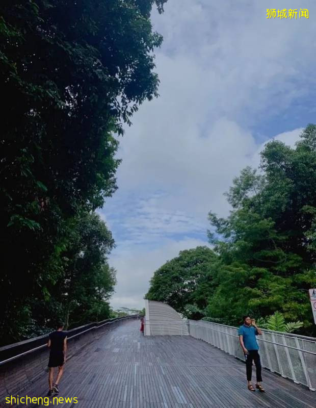 不能出国，坡里这些美食美景让你假装在国外