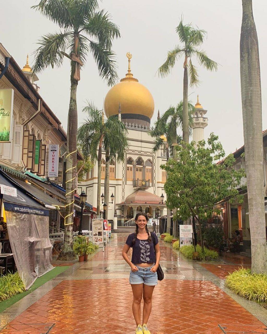 新加坡最美网红树打卡合集🌴壮观古树、根深叶茂,感受大自然的魅力📷