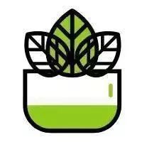 疫情下的AEIS考试培训