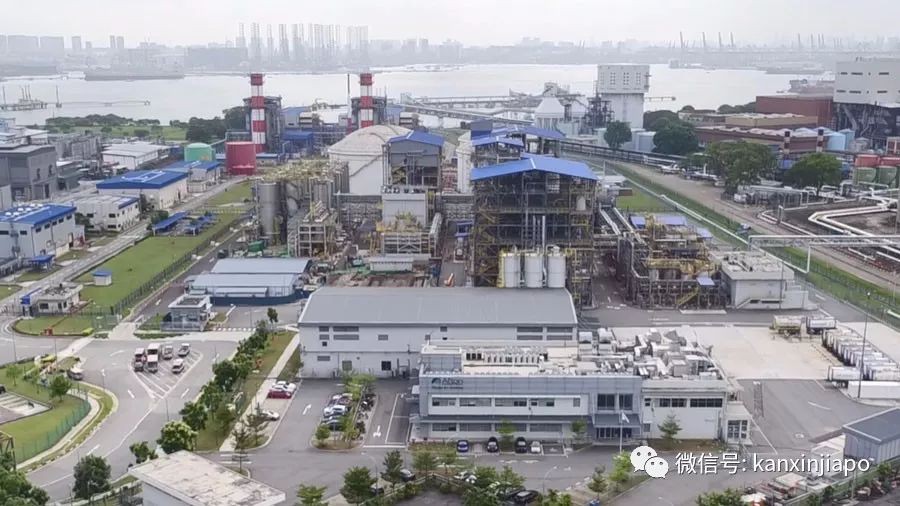 新加坡的神仙油价，到底有多恐怖？